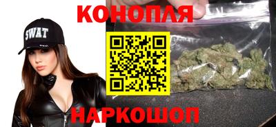 молекула духа Будённовск