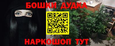 молекула духа Будённовск