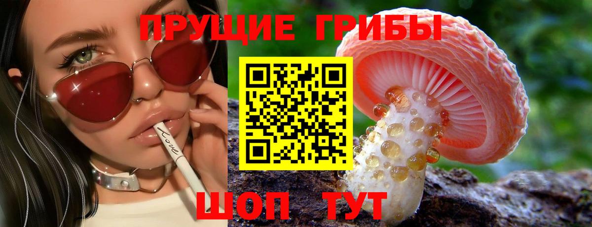 Псилоцибиновые грибы Magic Shrooms  Вход с VPN  Михайловск  купить закладку  Псилоцибиновые грибы прущие грибы 